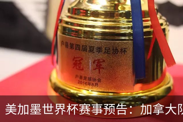 美加墨世界杯赛事预告：加拿大队、美国队将亮相